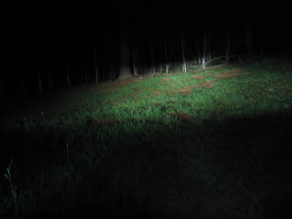 Name: HIDs015.jpg
Views: 36
Size: 66.6 KB
