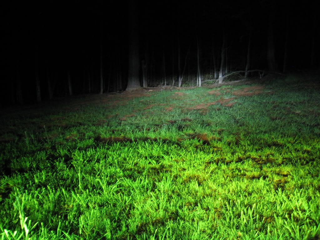 Name:  HIDs018.jpg
Views: 29
Size:  197.8 KB