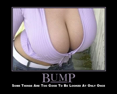 Name:  11614bump.jpg
Views: 22
Size:  25.7 KB