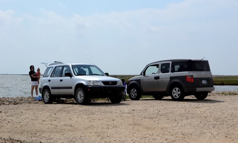 Name:  DSC_7133-1.jpg
Views: 48
Size:  61.1 KB