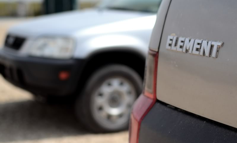 Name:  DSC_7164.jpg
Views: 34
Size:  25.0 KB