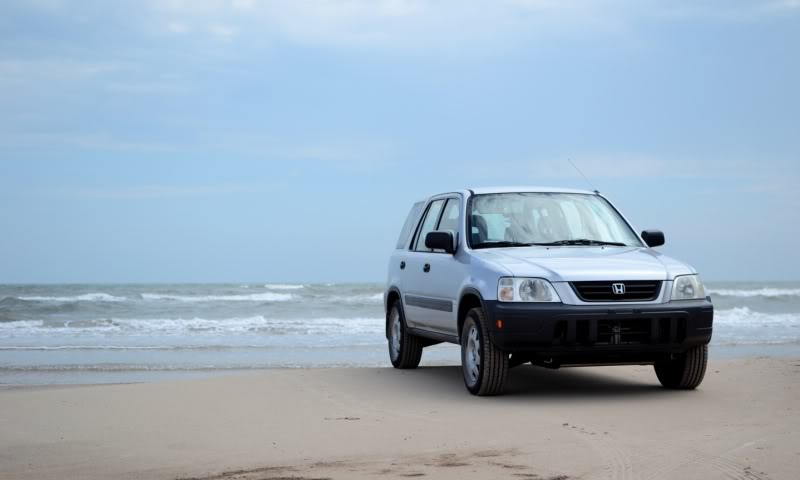 Name:  DSC_7218.jpg
Views: 68
Size:  28.9 KB