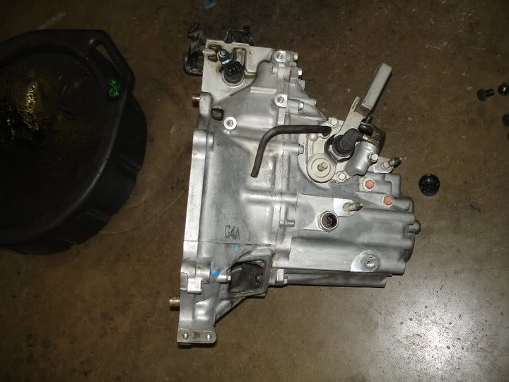 Name:  60815_155808297776591_100000422651659_358447_5226411_n.jpg
Views: 58
Size:  58.7 KB