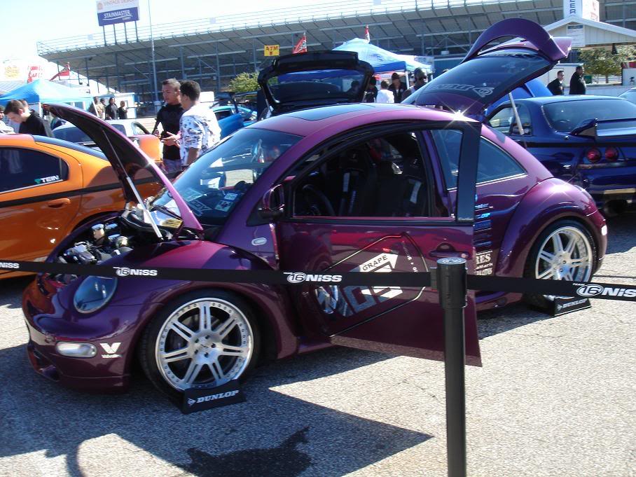 Name:  DSC04665.jpg
Views: 40
Size:  124.5 KB