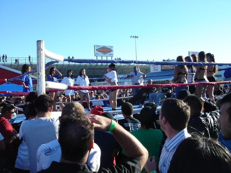 Name:  DSC04692.jpg
Views: 59
Size:  91.2 KB