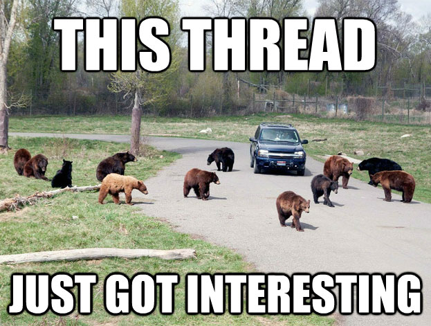 Name:  bearthread.jpg
Views: 51
Size:  94.7 KB