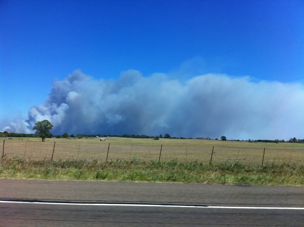 Name:  584b5d18.jpg
Views: 56
Size:  83.6 KB