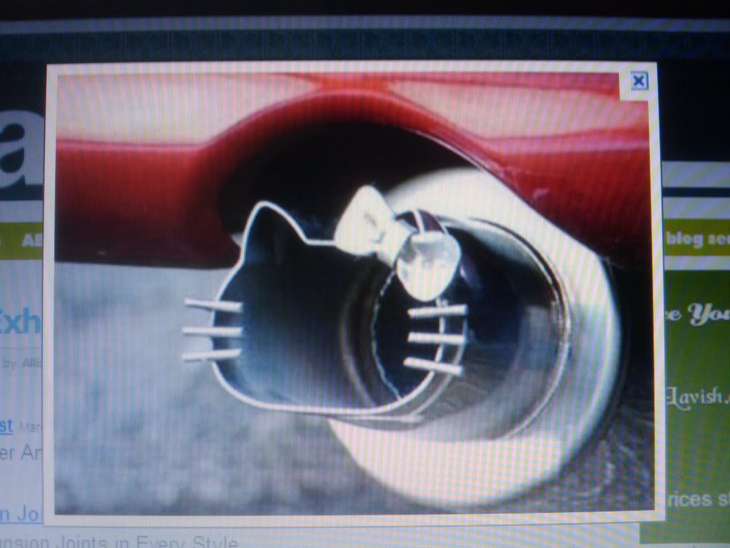 Name:  2011-05-16104041.jpg
Views: 82
Size:  102.7 KB