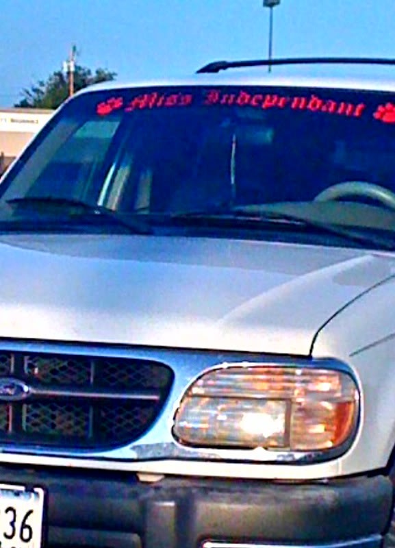 Name:  photo4.jpg
Views: 35
Size:  69.4 KB