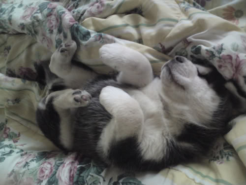 Name:  DSC000651.jpg
Views: 42
Size:  30.6 KB