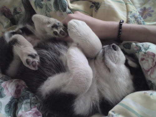 Name:  DSC000661.jpg
Views: 53
Size:  28.0 KB