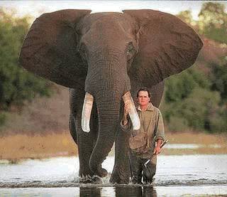 Name: image001.jpg
Views: 83
Size: 18.8 KB