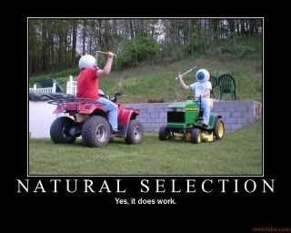 Name:  naturalselection.jpg
Views: 137
Size:  19.9 KB