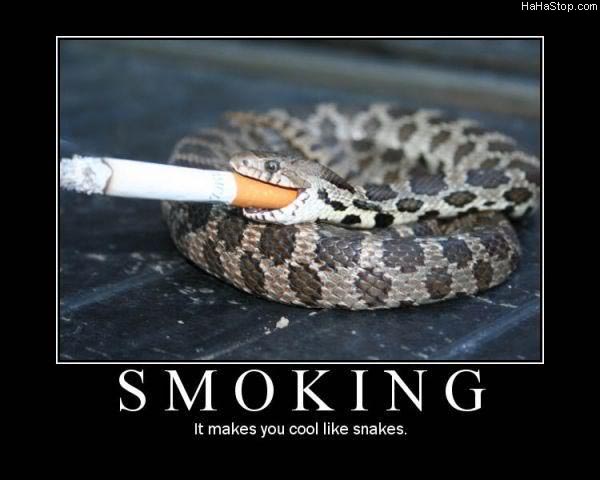 Name:  Smoking_Is_Cool975.jpg
Views: 242
Size:  34.4 KB