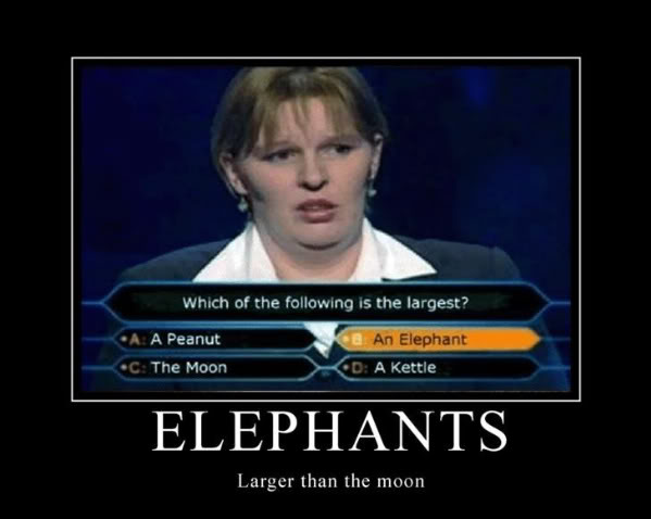 Name:  Elephant.jpg
Views: 238
Size:  31.3 KB