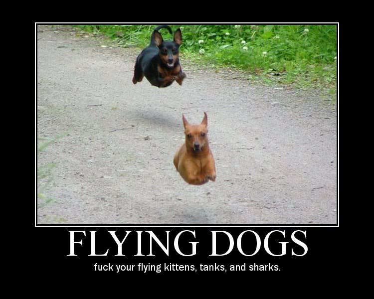 Name:  flyingdogs.jpg
Views: 138
Size:  78.6 KB