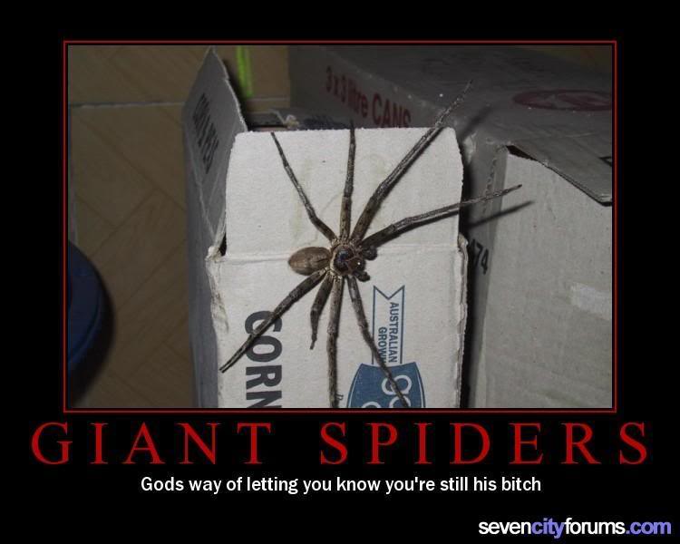 Name:  giantspiders.jpg
Views: 315
Size:  41.5 KB