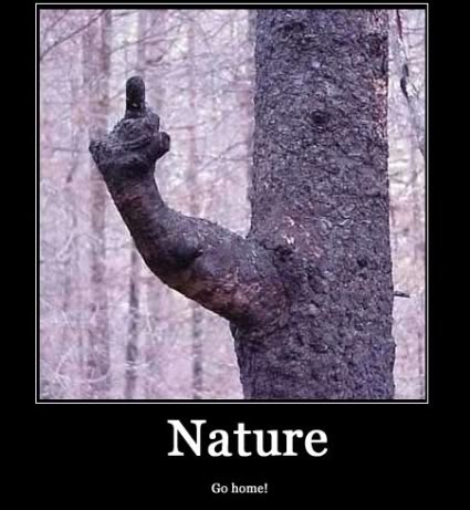 Name:  naturegy8.jpg
Views: 267
Size:  38.5 KB