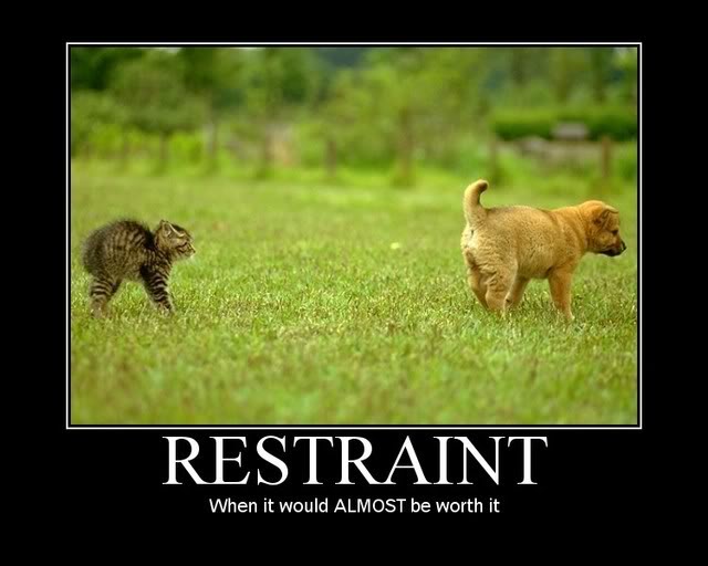 Name:  motivational-restraint.jpg
Views: 147
Size:  41.7 KB
