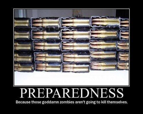 Name:  zombies_prepared.jpg
Views: 100
Size:  36.6 KB