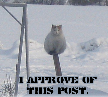 Name:  1210353086266.png
Views: 84
Size:  155.2 KB