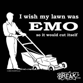 Name:  emos.jpg
Views: 272
Size:  21.1 KB