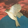 aStrangeDay's Avatar