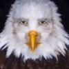 Tex's Avatar