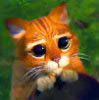 lappie's Avatar