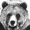 mrpooh's Avatar