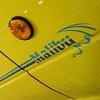 Malibu Q's Avatar