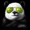 youngmogul's Avatar